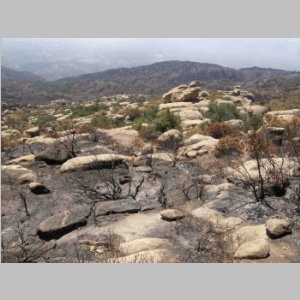 Playground - West Camino Cielo - After the Fire - With Bianca - 29 July 2008
