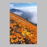 Agua Caliente Hike -- 1 APR 2001