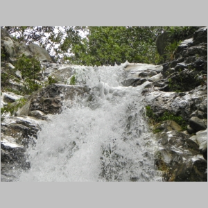 2011-0327-76.JPG