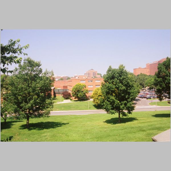 1996-0702-02-03.jpg