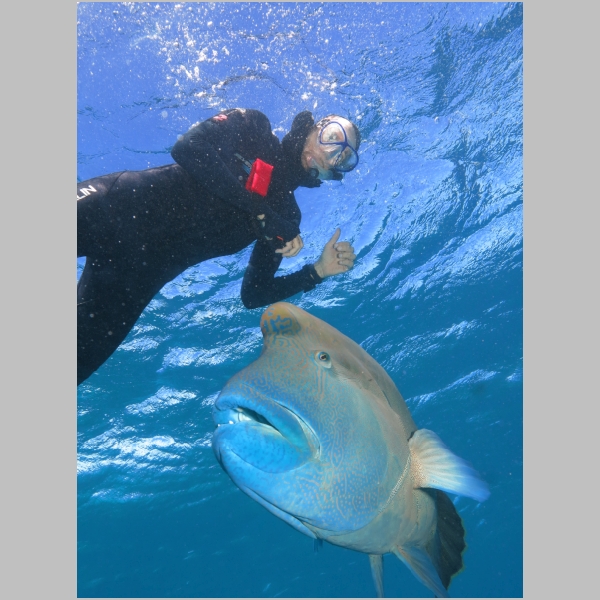 me-wrasse-339.JPG