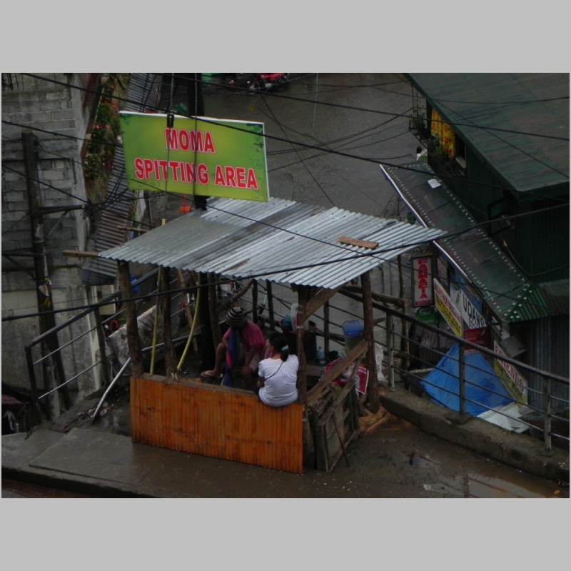 2011-0528-220.JPG
