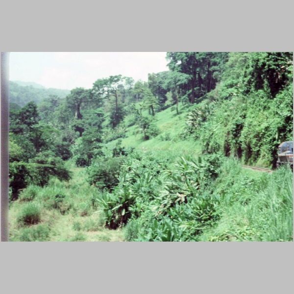 CostaRica-07-01.jpg