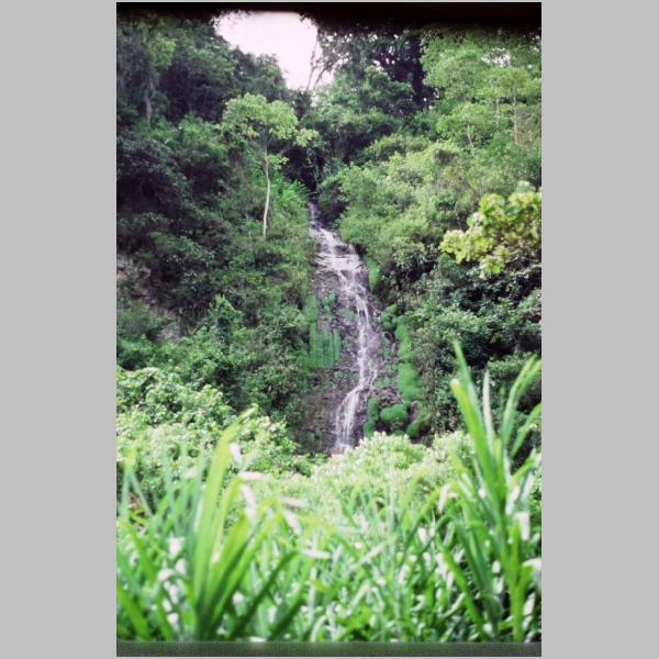 CostaRica-07-08.jpg