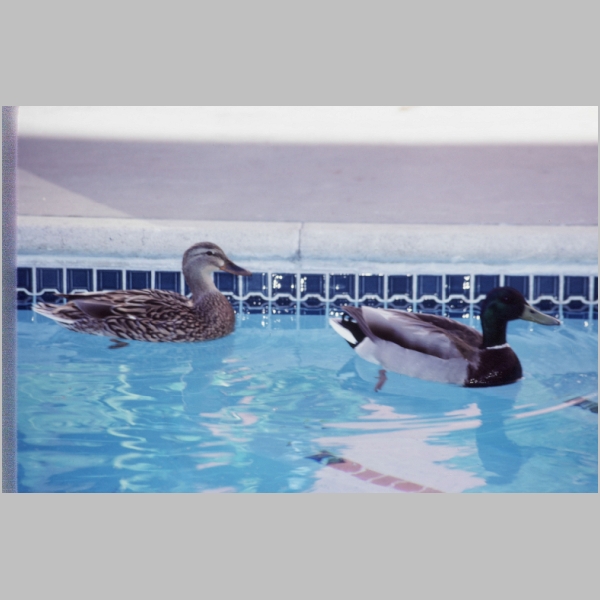 1988-03A-25.jpg