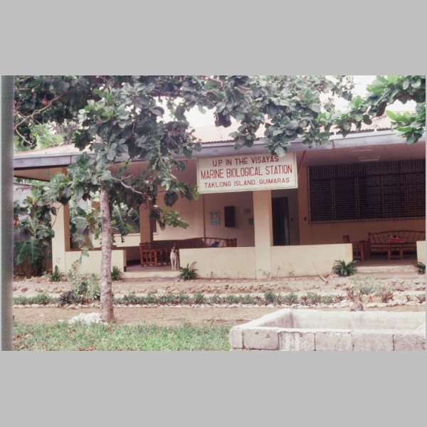 PHILIPPINES-10-01.jpg
