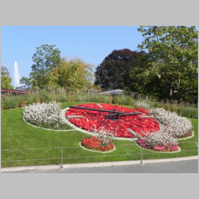 2010-1012-231.JPG