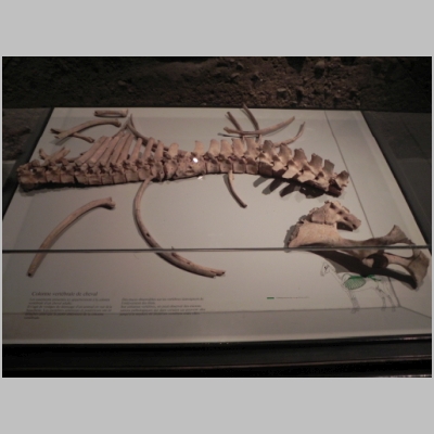 2010-1012-467.JPG