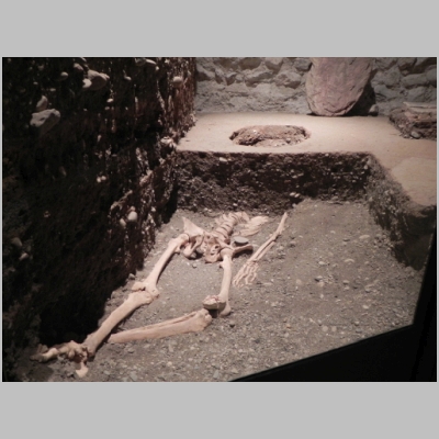 2010-1012-470.JPG