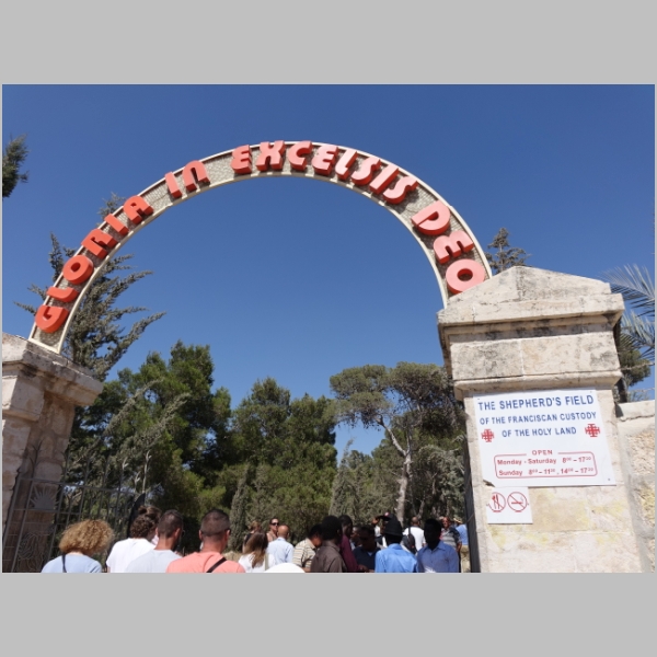 20150718-0847.JPG