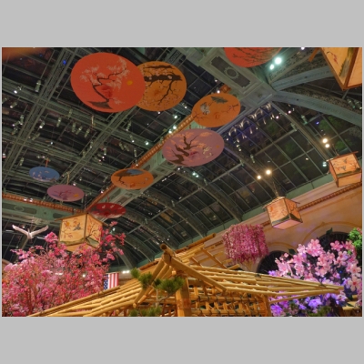 20160411-321.JPG