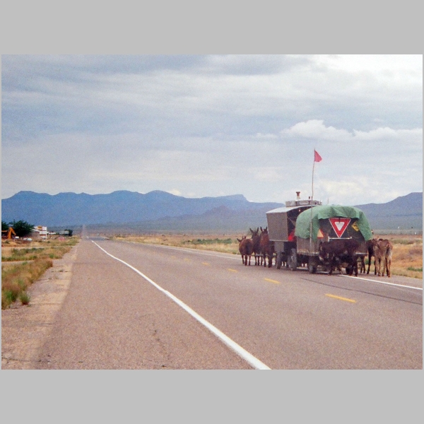 1992-0527-5-27.jpg