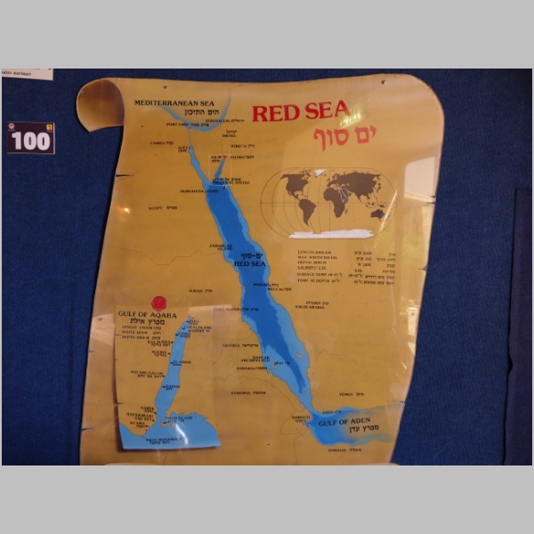 20150722-0942.JPG