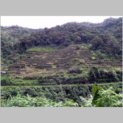 2011-0529-104.JPG