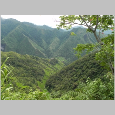2011-0529-138.JPG