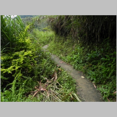 2011-0529-165.JPG
