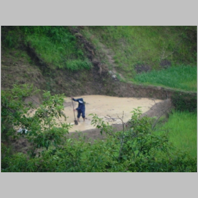 2011-0530-464.JPG