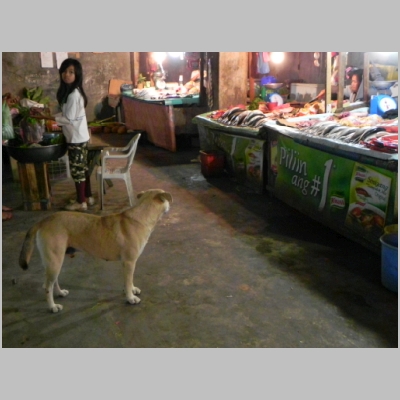 2011-0530-484.JPG