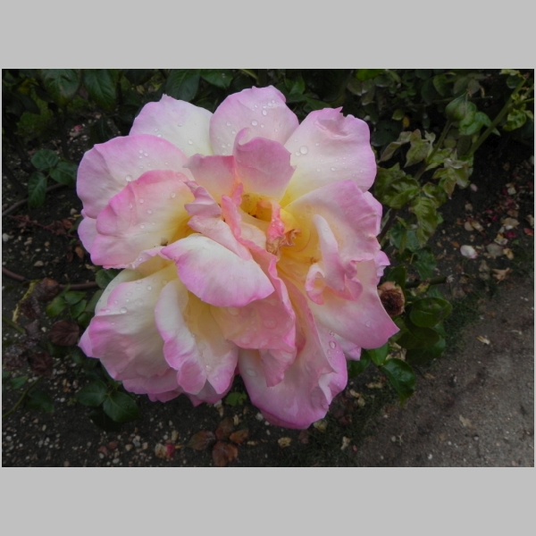 2010-0924-050.JPG