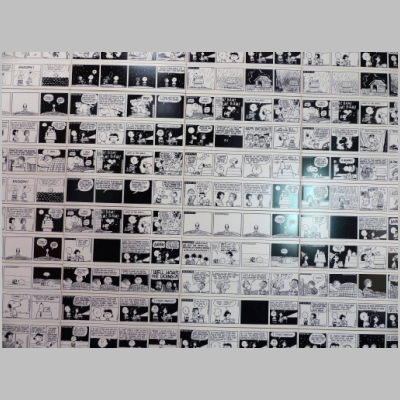 20121121-083.JPG