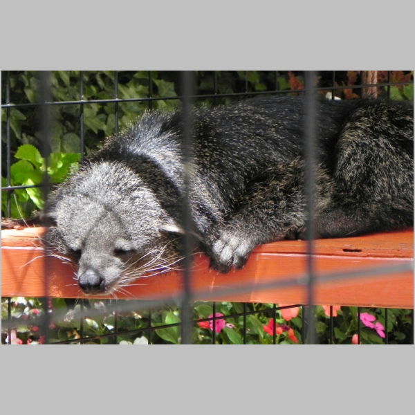 2011-0722-124.JPG