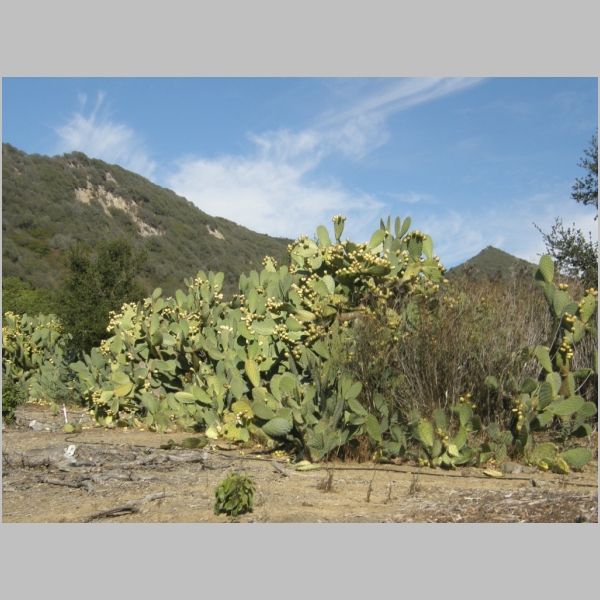 PA027522.JPG