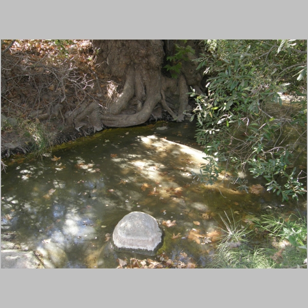 PA027524.JPG