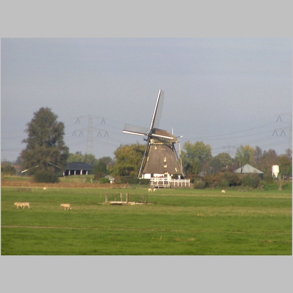 PA260492.JPG