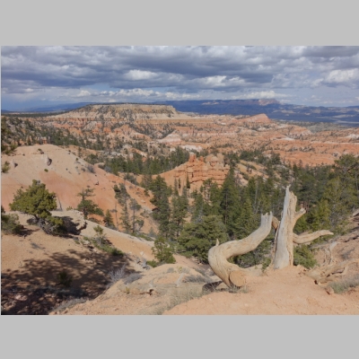 20160414-254.JPG