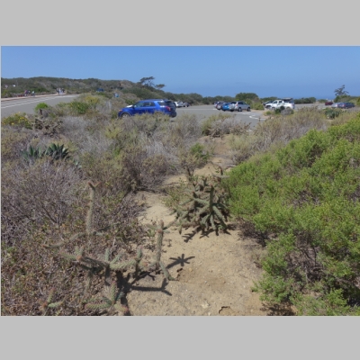 20160502-2926.JPG