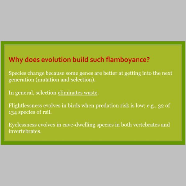 slide-06.jpg