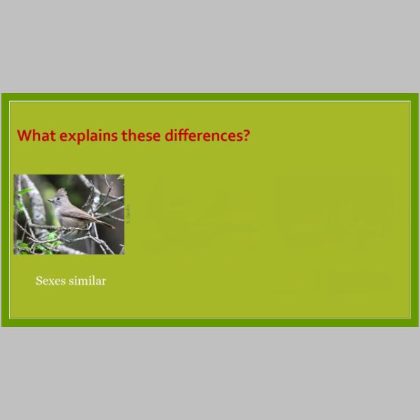 slide-18A.jpg