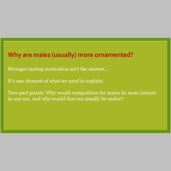 slide-19.jpg