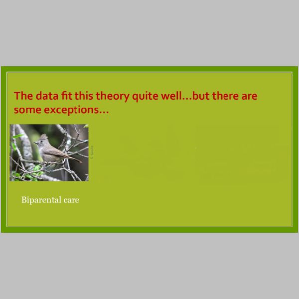 slide-24A.jpg
