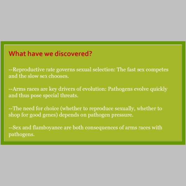 slide-57.jpg