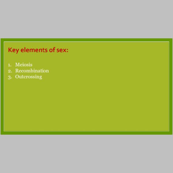 slide-63.jpg
