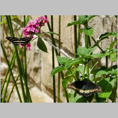 20190822-107.JPG