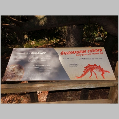 20190822-299.JPG