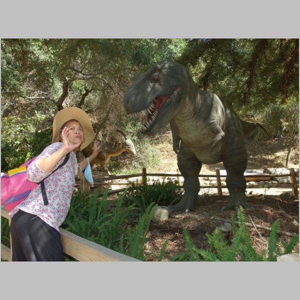 Prehistoric Forest