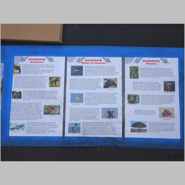 20160529-091.JPG