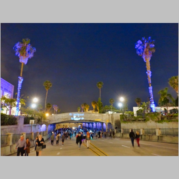 20190419-077.JPG