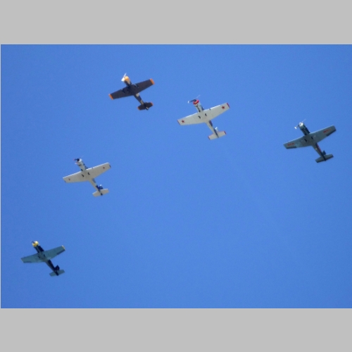 F20141109-29.JPG