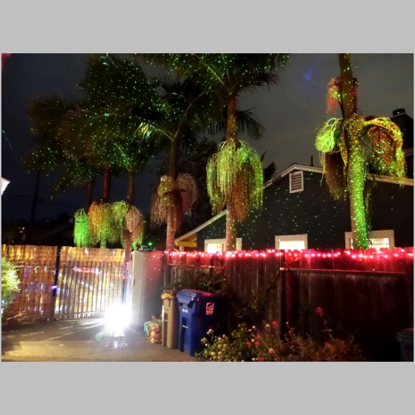 20171031-020.JPG
