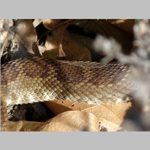 20150221-093.JPG