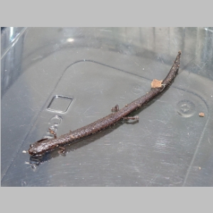 20150221-162.JPG