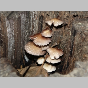 20150221-243.JPG