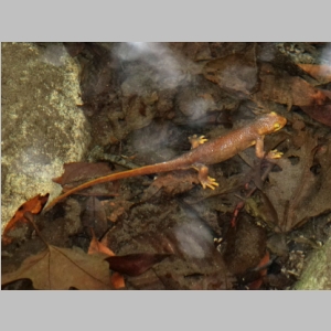 20150221-268.JPG