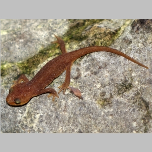 20150221-275.JPG