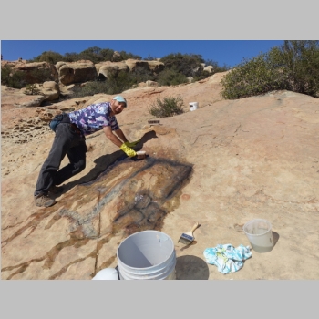 20151122-505-LizardsMouthPaintRemoval.JPG