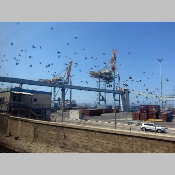 20150724-384.JPG